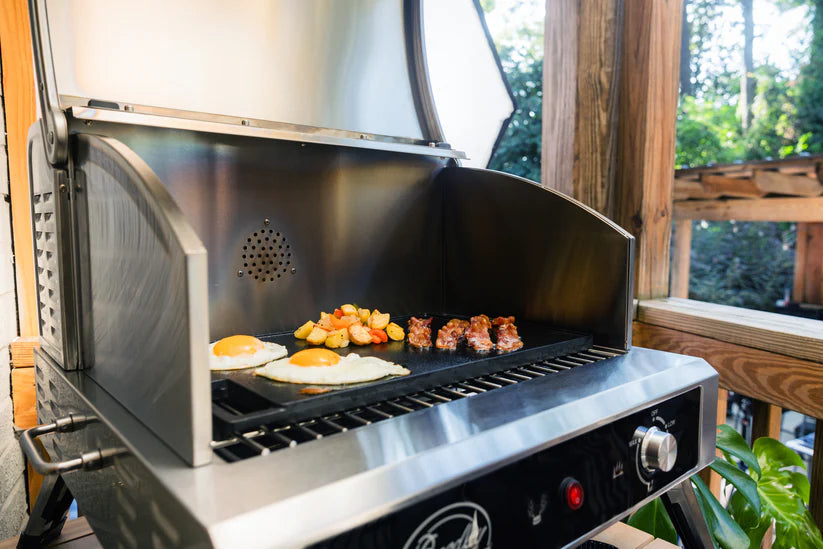 Bradley Electric Grill and Smoker
