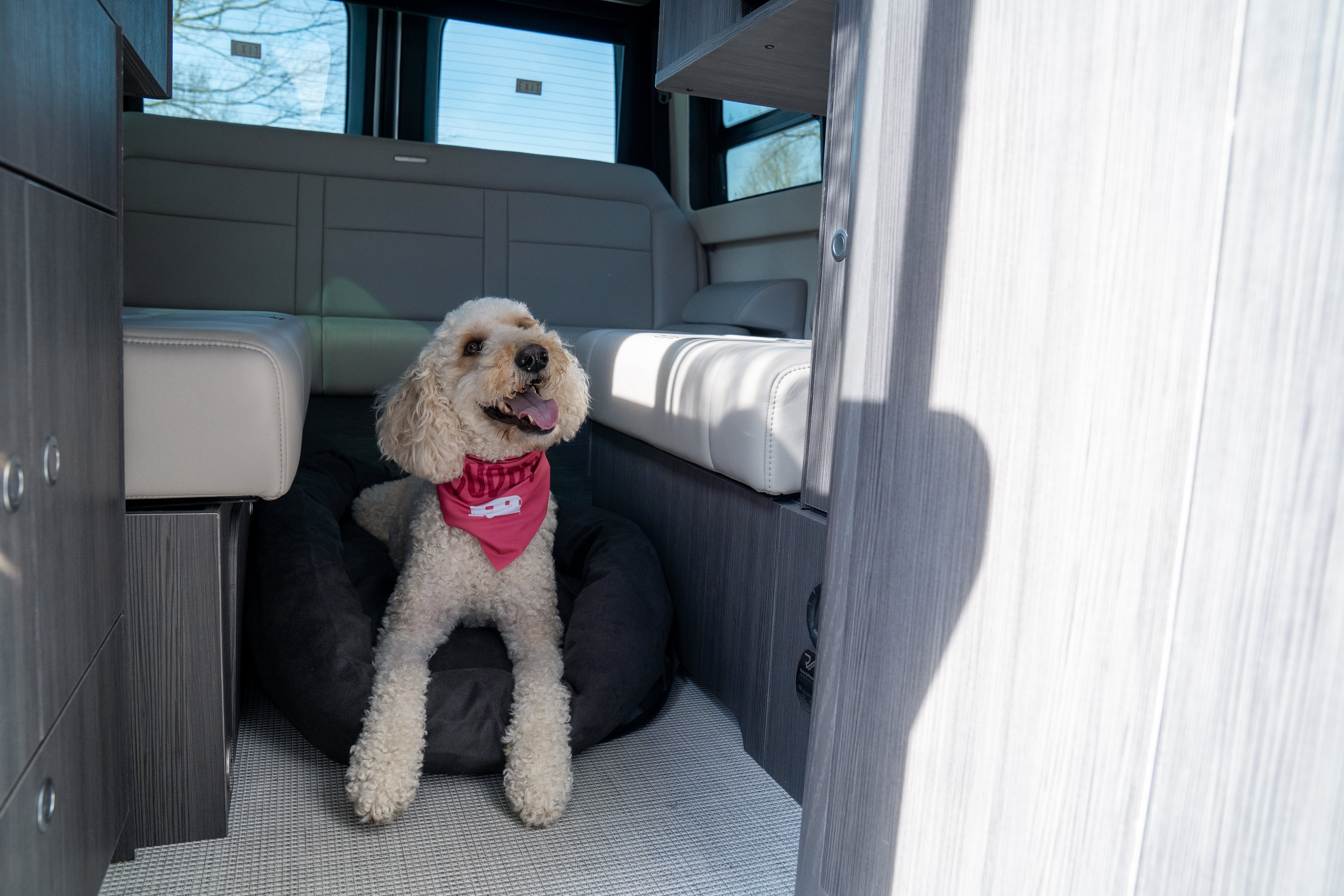 Airstream Travel Pet Bed