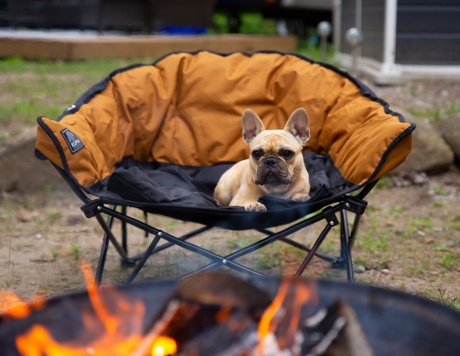 Lazy Bear Dog Bed by KUMA