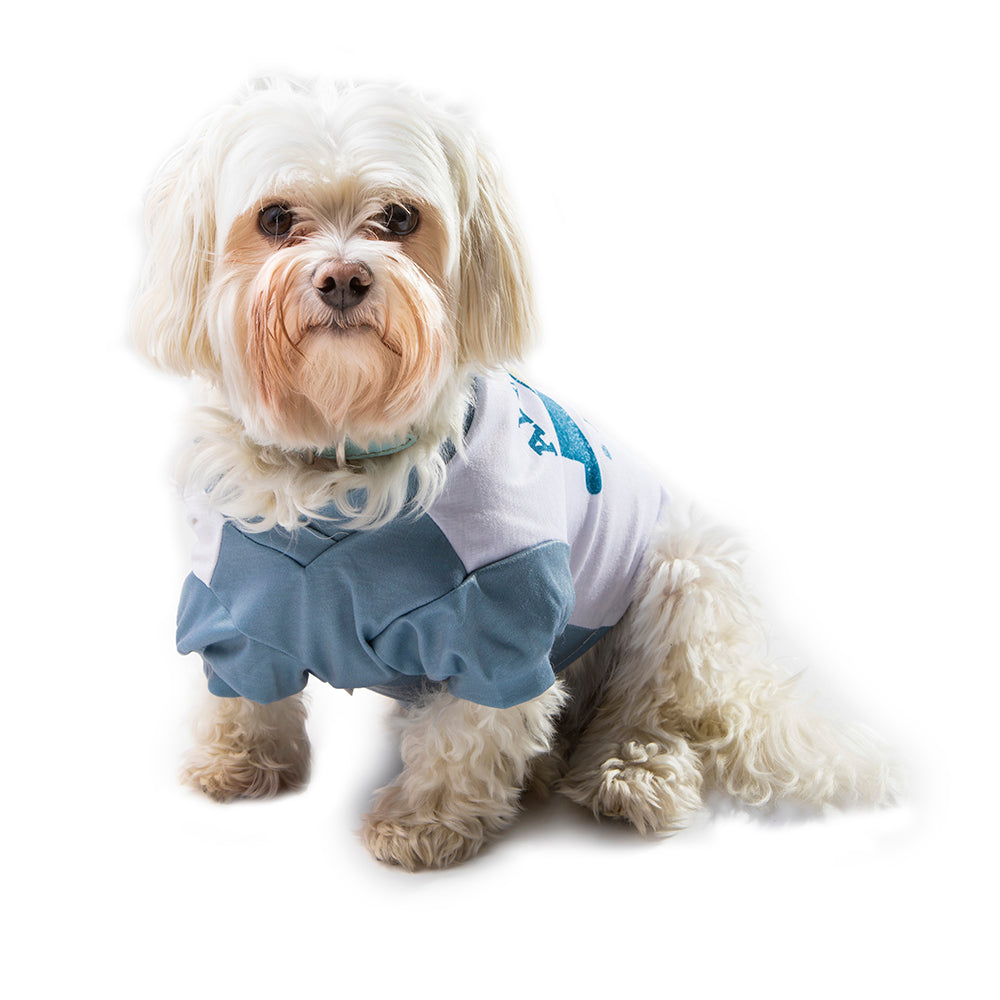 Airstream Always Ready For Adventure Dog Shirt