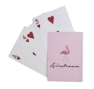 Airstream Card Deck With Case