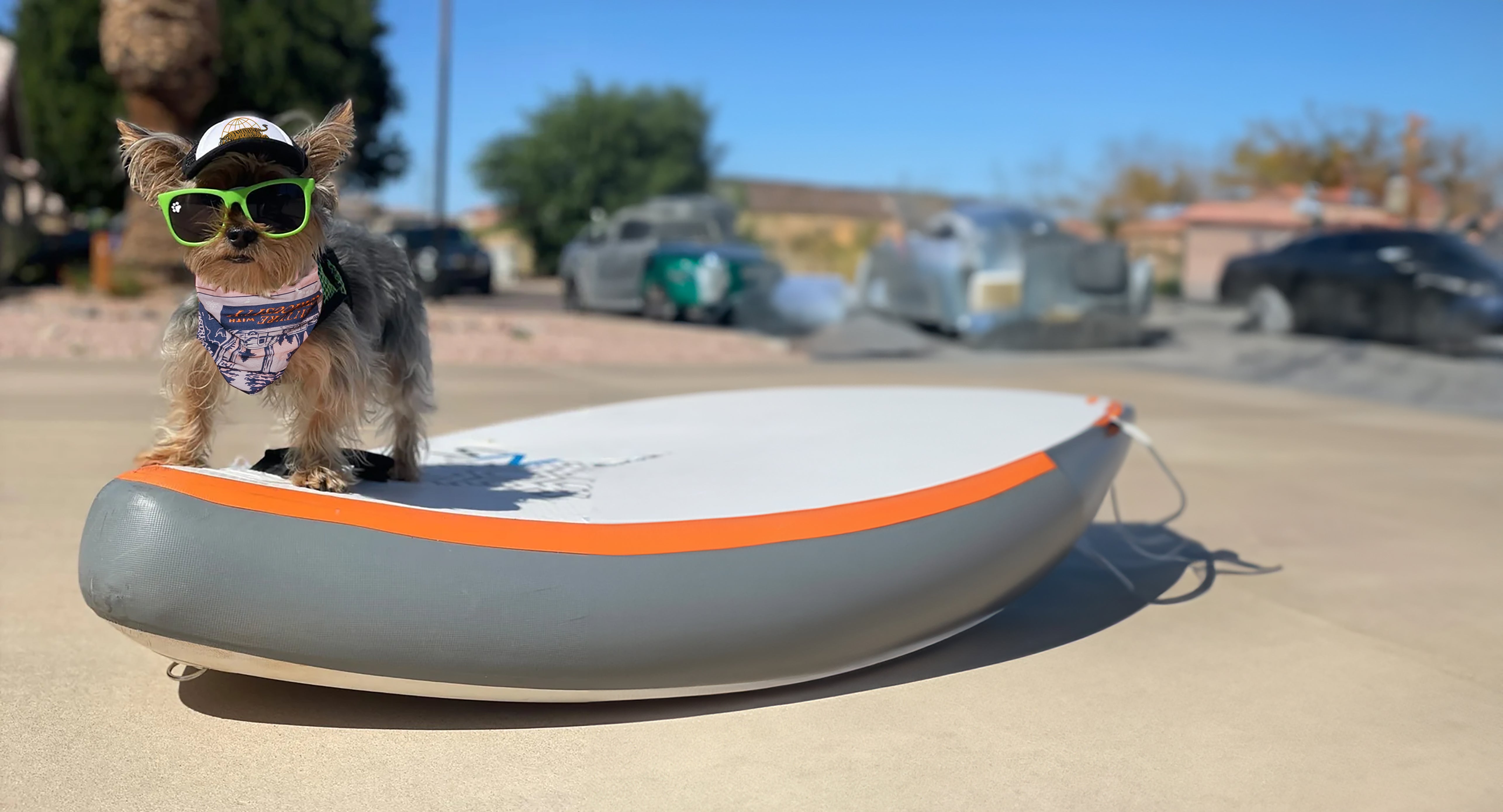 Airstream Vintage Tiger Dog Hat by PupLid