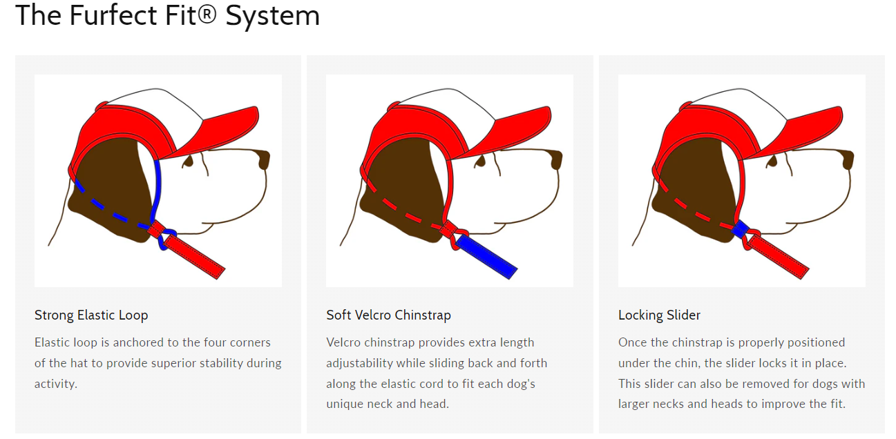 Airstream Logo Dog Hat by PupLid