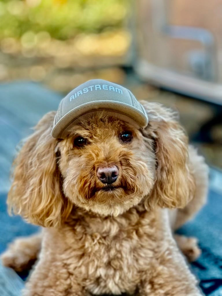 Airstream Logo Dog Hat by PupLid