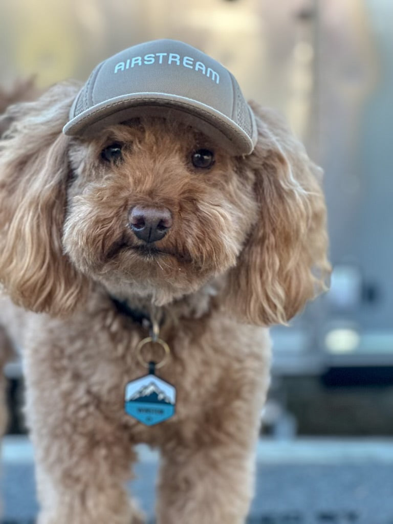 Airstream Logo Dog Hat by PupLid