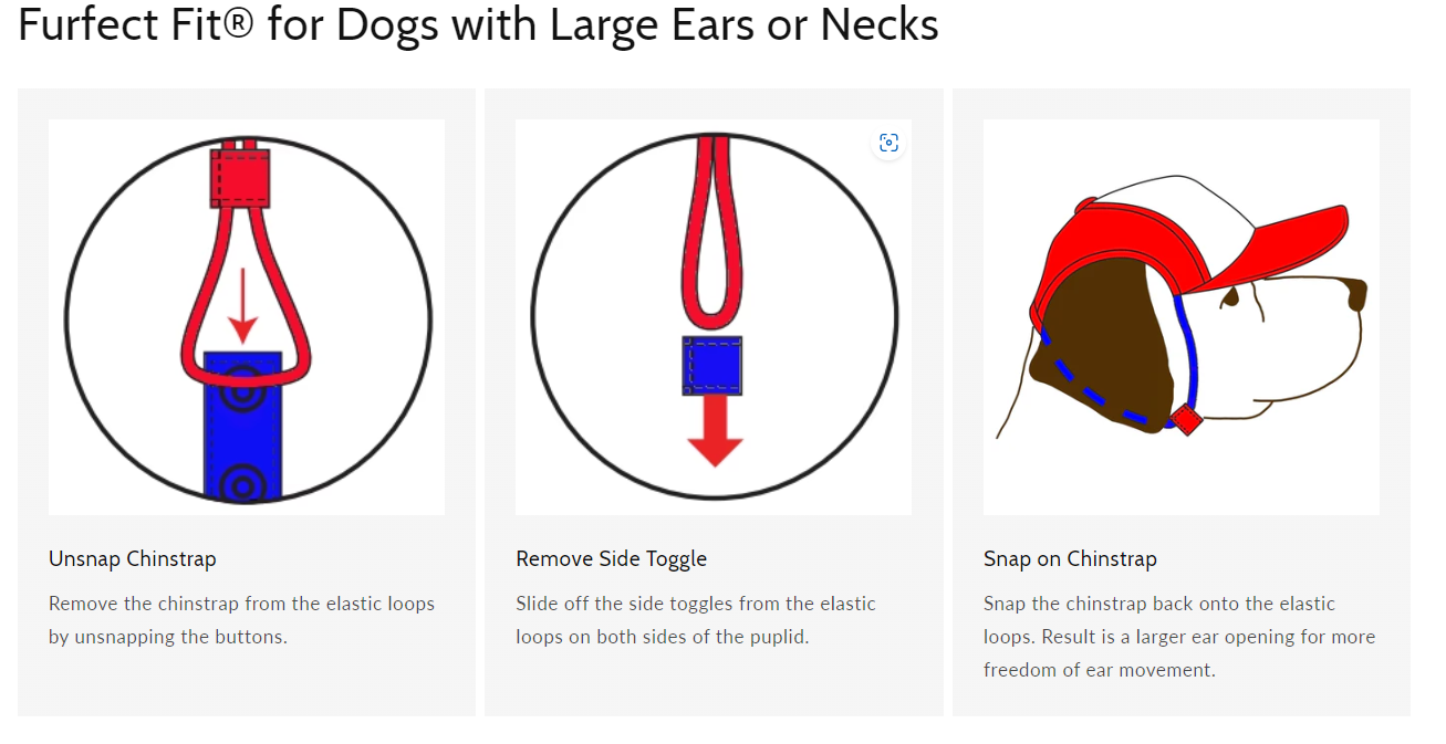 Airstream Logo Dog Hat by PupLid